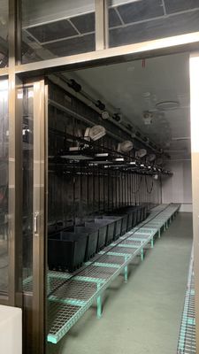 Intelligente Temperaturkontrolle Juxiang Heizung von Gemüse mit Laub