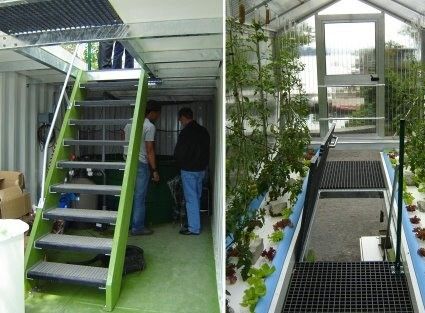 US-Währung Intelligente Temperaturkontrolle Dachplatte Blattgemüse Containerhaus