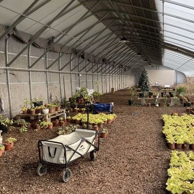 Individuelle Anfrage Sonnenlicht Gewächshaus Hydroponik Anbausystem für Blumenpflanzung