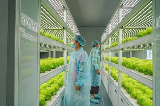 Containerfarming-Beleuchtungssystem mit geschätzten Lieferzeiten und geringen Versandkosten