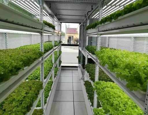 Containerfarming-Beleuchtungssystem mit geschätzten Lieferzeiten und geringen Versandkosten