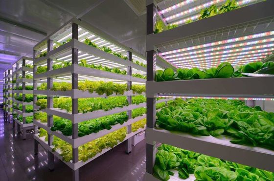 Containerfarming-Beleuchtungssystem mit geschätzten Lieferzeiten und geringen Versandkosten