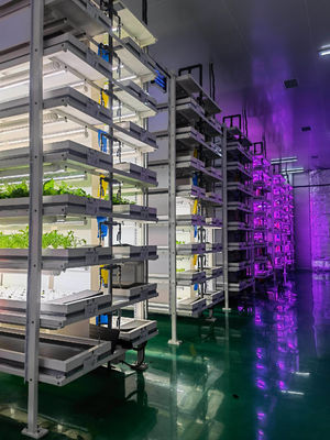 Containerfarming-Beleuchtungssystem mit geschätzten Lieferzeiten und geringen Versandkosten