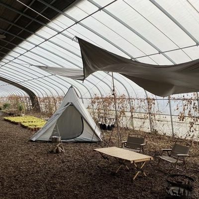 Vollzahlung Einlagehydroponik Blumen Sonnenlicht Gewächshaus für Ihre erste Zahlung