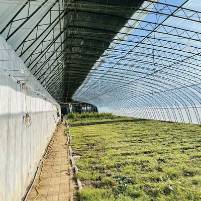 Vollzahlung Einlagehydroponik Blumen Sonnenlicht Gewächshaus für Ihre erste Zahlung