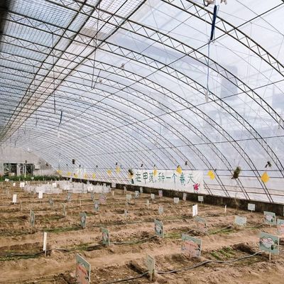 Vollzahlung Einlagehydroponik Blumen Sonnenlicht Gewächshaus für Ihre erste Zahlung