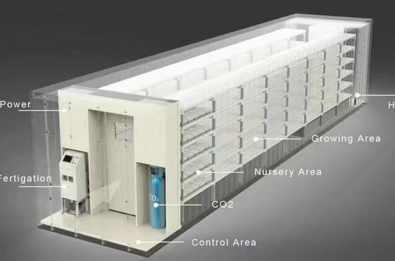 Abteilung Schifffahrt Container Gewächshaus LED-Beleuchtung Lösung für Gemüseanlagen