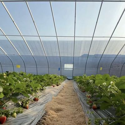 Blütenpflanzung Sonnenlicht Gewächshaus mit Stahlkonstruktion Doppelschicht oder Einzelschicht