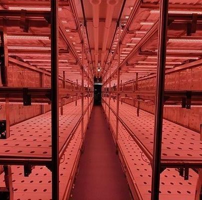 Stahldeckungsmaterial Hydroponisches vertikal gebautes Behältersystem für geformtes Dach