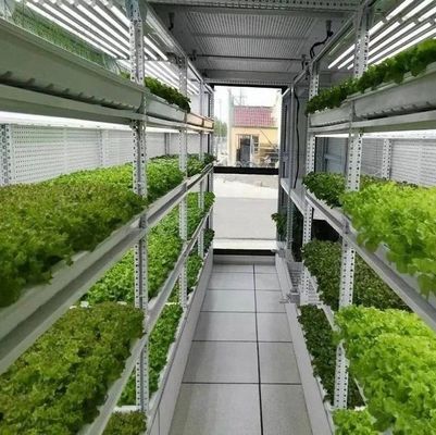 Stahldeckungsmaterial Hydroponisches vertikal gebautes Behältersystem für geformtes Dach