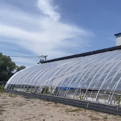 Hydroponik-Wachstumssystem mit Bogendach im Sonnenlicht Gewächshaus mit Stahlstruktur