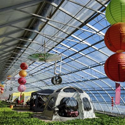 US-Währung Doppel- oder Einlagegewächs Sonnenlicht Gewächshaus System im Rahmen des Budgets