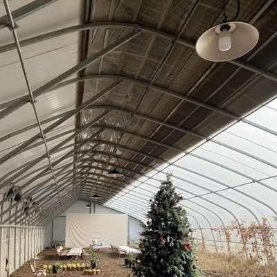 US-Währung Doppel- oder Einlagegewächs Sonnenlicht Gewächshaus System im Rahmen des Budgets