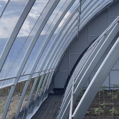 US-Währung Doppel- oder Einlagegewächs Sonnenlicht Gewächshaus System im Rahmen des Budgets