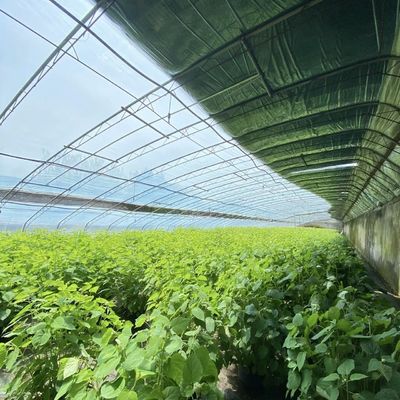 Blumenpflanzung Tropfbewässerungssystem Sonnenlicht Gewächshaus mit individueller Anfrage