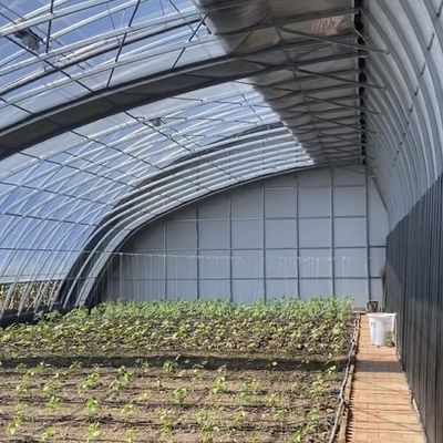 Blumenpflanzung Tropfbewässerungssystem Sonnenlicht Gewächshaus mit individueller Anfrage