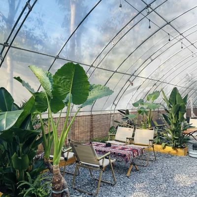 Blumenpflanzung Tropfbewässerungssystem Sonnenlicht Gewächshaus mit individueller Anfrage