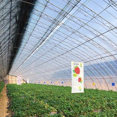 Mehrspannen-Hydroponik Gewächshaus Sonnenlichtgetriebenes Wachstum Versandkosten und Lieferzeiten