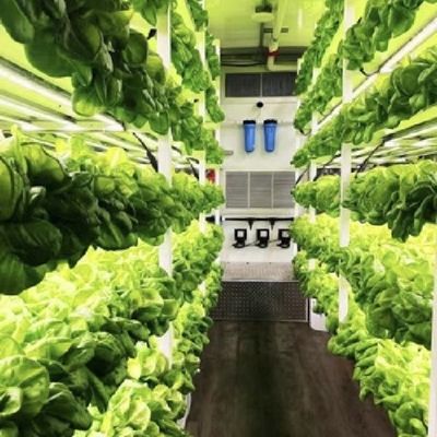 Hydroponik Anbaumethode Reefer Behälter Gemüse Gewächshaus mit Materialien