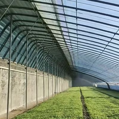 Multi-Span Aquaponics Hydroponisches Anbausystem für US-Währung im Sonnenlicht Gewächshaus