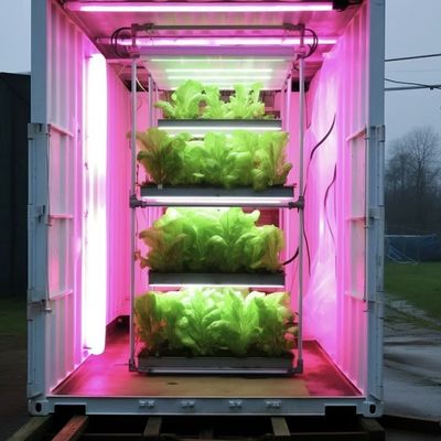Gehäuse mit intelligenter Temperaturregelung für Bodenlosanbau JX-A0096