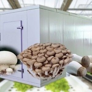 Transformieren Sie Ihre Landwirtschaft mit Blattgemüse Reefer Container Gewächshaus