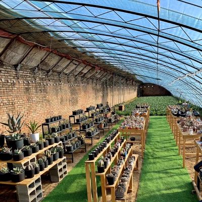 Sonnenlicht Gewächshaus für Ursprung Blumenpflanzung Paket Größe 50,00cm * 60,00cm * 50,00cm