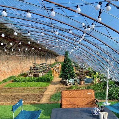 Sonnenlicht Gewächshaus für Ursprung Blumenpflanzung Paket Größe 50,00cm * 60,00cm * 50,00cm