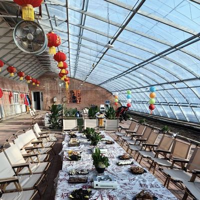 Sonnenlicht Gewächshaus für Ursprung Blumenpflanzung Paket Größe 50,00cm * 60,00cm * 50,00cm