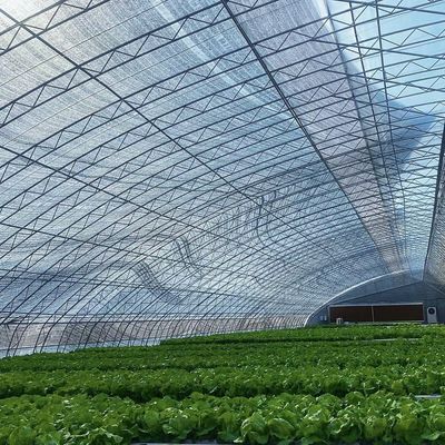 Mehrspannendes Sonnenlicht Gewächshaus Die ultimative Wahl für die hydroponische Gemüseproduktion