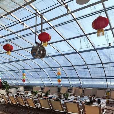 Mehrspannendes Sonnenlicht Gewächshaus Die ultimative Wahl für die hydroponische Gemüseproduktion