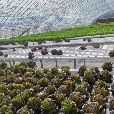 Paket Bruttogewicht 100.000kg Sonnenlicht Gewächshaus Tropfbewässerung für Blumenpflanzungen
