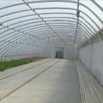 Gewächshaus mit Feuchtigkeitskontrolle für den Anbau von Tomaten und Gurken im Sand