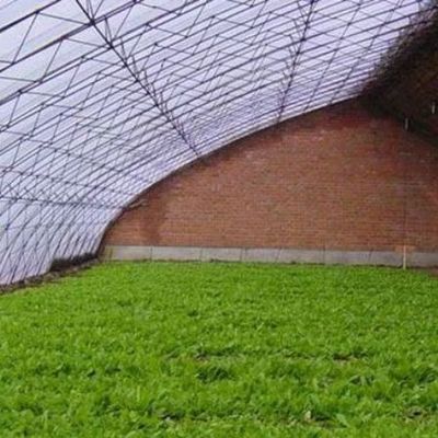 Gewächshaus mit Feuchtigkeitskontrolle für den Anbau von Tomaten und Gurken im Sand