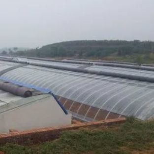 Gewölbehaus - Die ultimative Sonnenlichtlösung für Tomaten- und Gurkenanbau