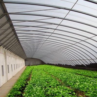 2000.000kg Paket Bruttogewicht Fortgeschrittenes Gewächshaussystem für den Anbau von Gemüse im Sonnenlicht