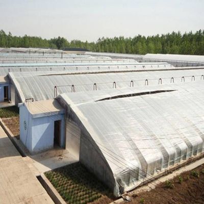 2000.000kg Paket Bruttogewicht Fortgeschrittenes Gewächshaussystem für den Anbau von Gemüse im Sonnenlicht