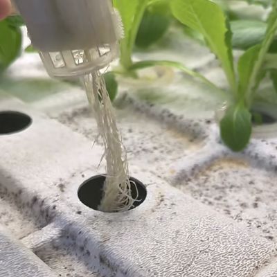 JX-A00104 Gemüsebehälter Gewächshaus für die hydroponische Anbaumethode