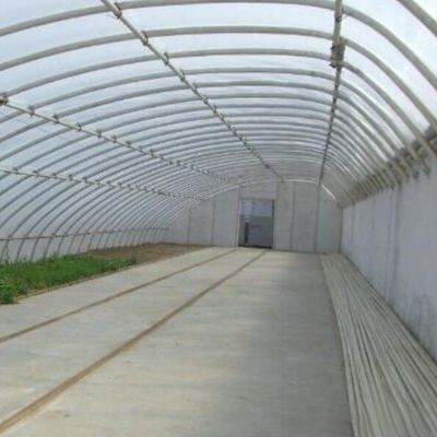 2000.000kg Juxiangs kommerzielles Sonnenlicht Gewächshaus für Erdbeerzucht jx-sg-108