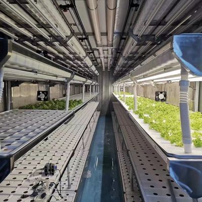 Hydroponischer Anbau Gewächshaus für Blattgemüse Anbaumethode Hydroponik