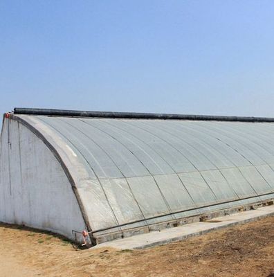 JX-SG-111 Klimakontrollierter Sonnenstrahl-Gewächshaus für die Pflanzung von Sandpflanzen