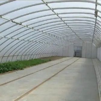 2000.000kg Tomaten- und Gurkenanbau Sonnenlicht Gewächshauslösung mit gewölbtem Dach