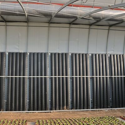 2000.000kg Tomaten- und Gurkenanbau Sonnenlicht Gewächshauslösung mit gewölbtem Dach