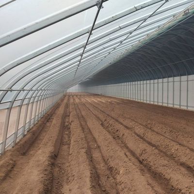 Filmbedecktes Sonnenlicht-verstärktes Gewächshaus für den Gurkenanbau in Sandkultur