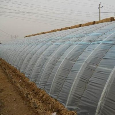Tomatenanbau Sonnenlicht Gewächshaus mit Feuchtigkeitskontrolle und Temperaturkontrolle