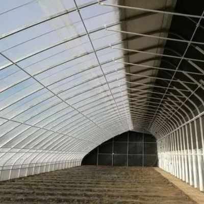 Tomatenanbau Sonnenlicht Gewächshaus mit Feuchtigkeitskontrolle und Temperaturkontrolle