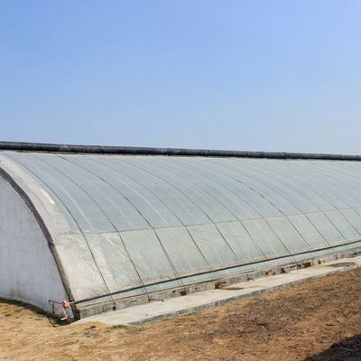 Hydroponisches Gewächshaus für den gewerblichen Anbau von Gurken