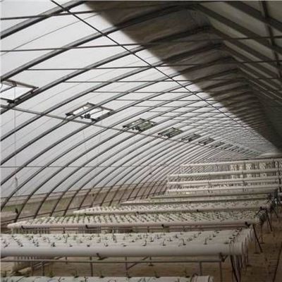 Fortgeschrittener Gemüseanbau Sonnenlicht Gewächshaus 40HQ Reefer Behälter für Superior
