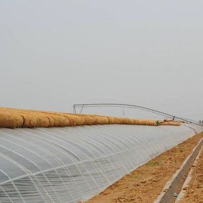 Fortgeschrittener Gemüseanbau Sonnenlicht Gewächshaus 40HQ Reefer Behälter für Superior