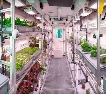 Stahlkonstruktion Hydroponisches System Behälter Gewächshaus für vertikale Landwirtschaftslösung